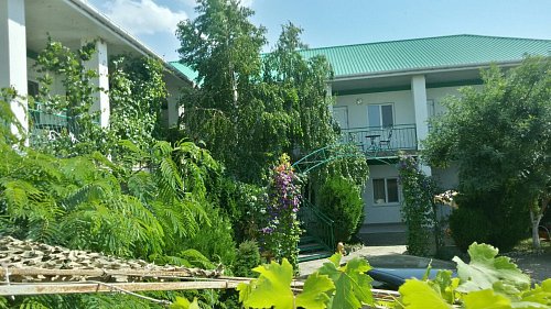 Гостевой дом «Анастасия» Николаевка, Крым #1