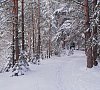 Отель «Яхонты Ногинск» Московская область #14