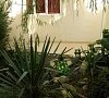 Пансионат «Конгресс» Сочи #30