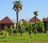 Отель Бамбора Гудаута - официальный сайт Отель Бамбора Гудаута - официальный сайт