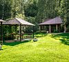 Лесные дали Рублево-Успенское шоссе