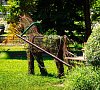Транссиб Белокуриха цены