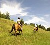 Туркомплекс «Орлиное Гнездо» Горный Алтай #15