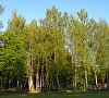 Энергетик Гродненская область - официальный сайт