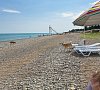 Парк-отель «Черноморец» Гудаута, Абхазия #48