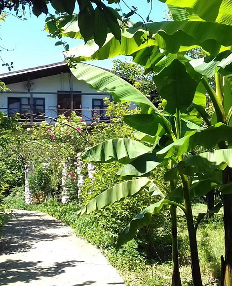 Отель «Алаку» Сухуми, Абхазия