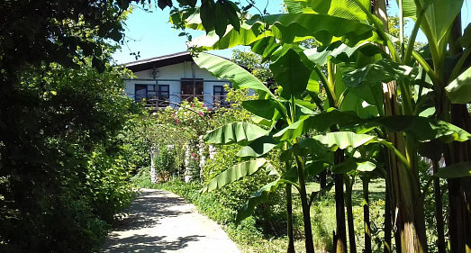 Отель Алаку Сухум - официальный сайт