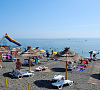Лакоста Адлер