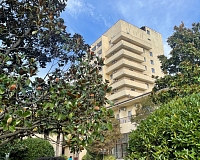 Санаторий Golden family resort в Алуште, вид снаружи Санаторий Golden family resort (Алушта)