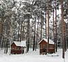 Пралеска Минская область цены