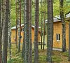 Шишки Карелия цены