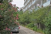 Пансионат «Ялтинский» Ялта, Крым #4