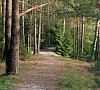 Отель «Яхонты Ногинск» Московская область #39