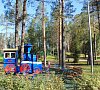 База отдыха Сосновка(Вологодская область) #17