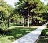 Санаторий Голубая волна Геленджик фото