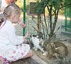 Санаторий «Таврия» Евпатория, Крым #56