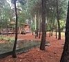 Госдача Лдзаа Пицунда