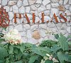 PALLASA Ялта