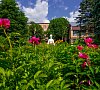Санаторий «Переделкино» Ново-Переделкино, отдых все включено №16