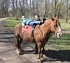 Иппотерапия, отдых все включено №5
