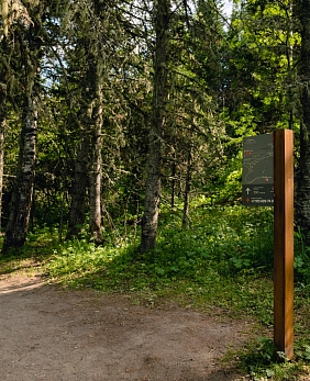 Отдых в Алтайском крае