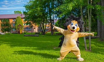 IMG