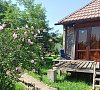 Бамбора Гудаута цены Бамбора Гудаута цены