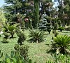 Отель Парадиз на Бестужева Адлер фото