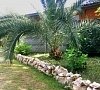 Отель «Дуглас» Пицунда, Абхазия #17