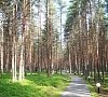 Санаторий Кивач Карелия фото