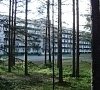 Санаторий Восток-6 Ленинградская область
