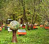 База отдыха «Усадьба «Сокол» Горный Алтай - пасека