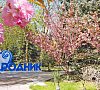 Родник Анапа - официальный сайт