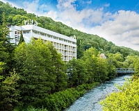 Санаторий Мыс Видный (к. Арена) (Хоста)